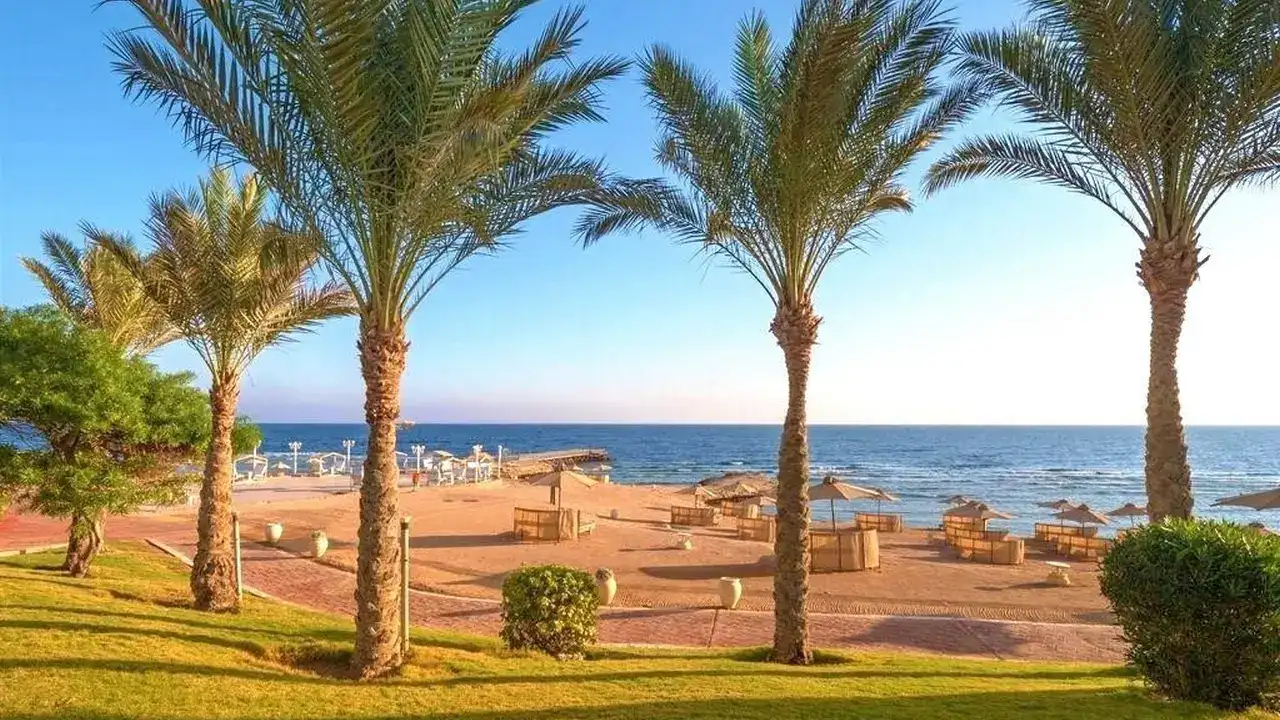 الفندق سيرينيتي ألما هايتس - مكادي باي